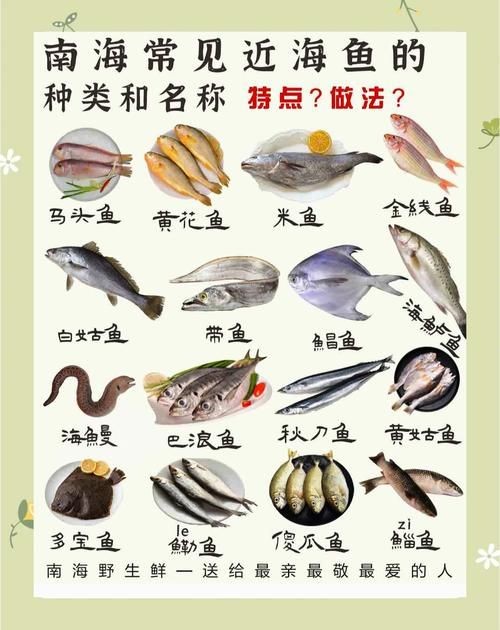 海魚類大全圖冊(cè)：《海魚類大全圖冊(cè)》70余種常見海水魚圖譜大合集