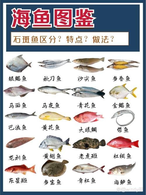 海魚類大全圖冊(cè)：《海魚類大全圖冊(cè)》70余種常見海水魚圖譜大合集