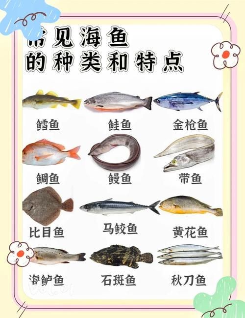 海魚類大全圖冊(cè)：《海魚類大全圖冊(cè)》70余種常見海水魚圖譜大合集
