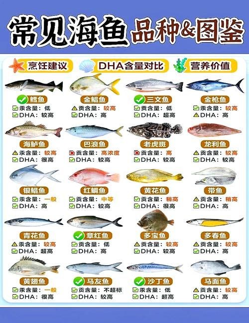 海魚類大全圖冊(cè)：《海魚類大全圖冊(cè)》70余種常見海水魚圖譜大合集