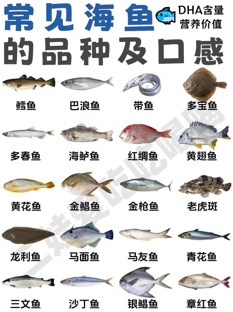 海魚類大全圖冊(cè)：《海魚類大全圖冊(cè)》70余種常見海水魚圖譜大合集