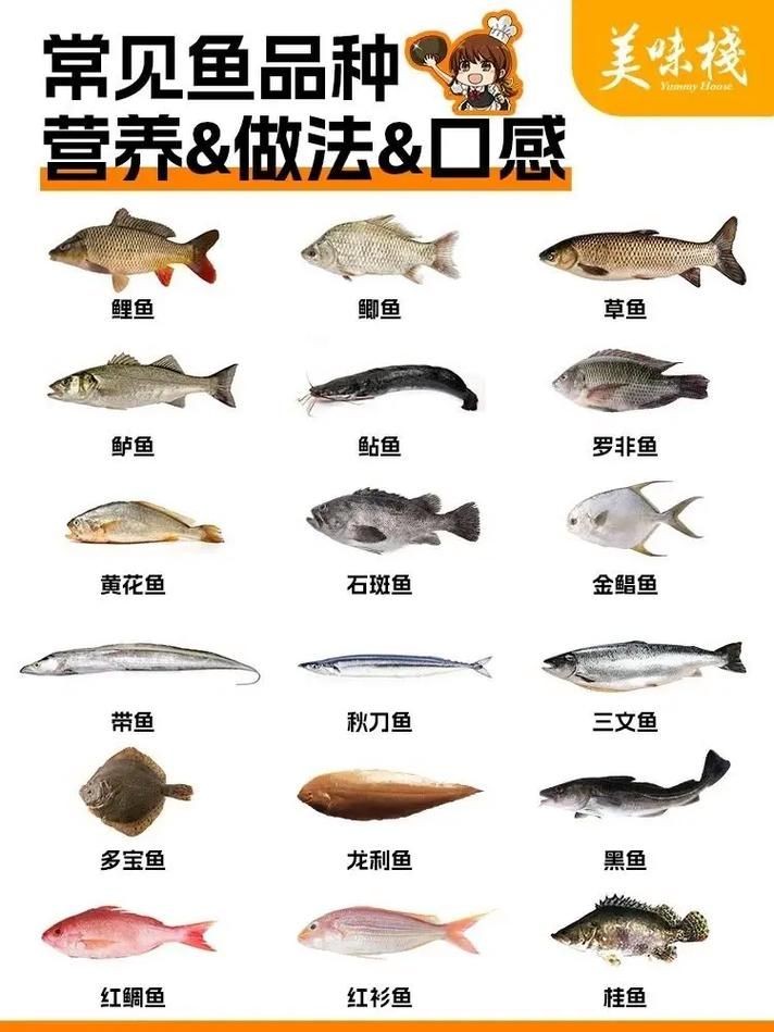 海魚類大全圖冊(cè)：《海魚類大全圖冊(cè)》70余種常見海水魚圖譜大合集