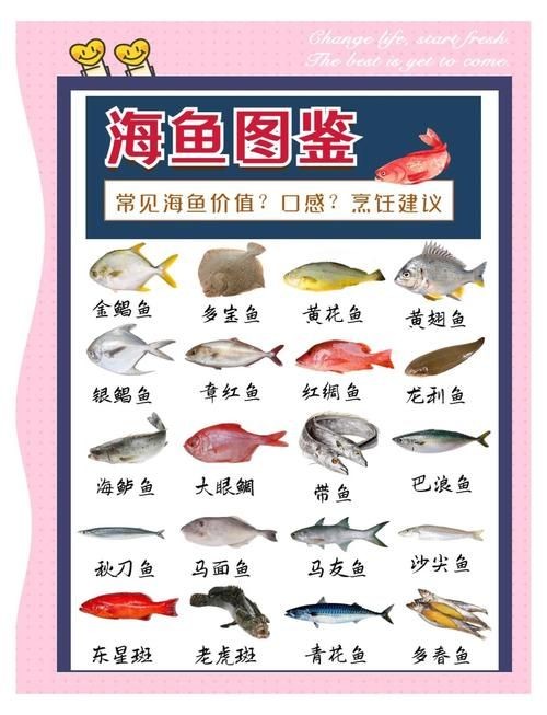 海魚類大全圖冊(cè)：《海魚類大全圖冊(cè)》70余種常見海水魚圖譜大合集