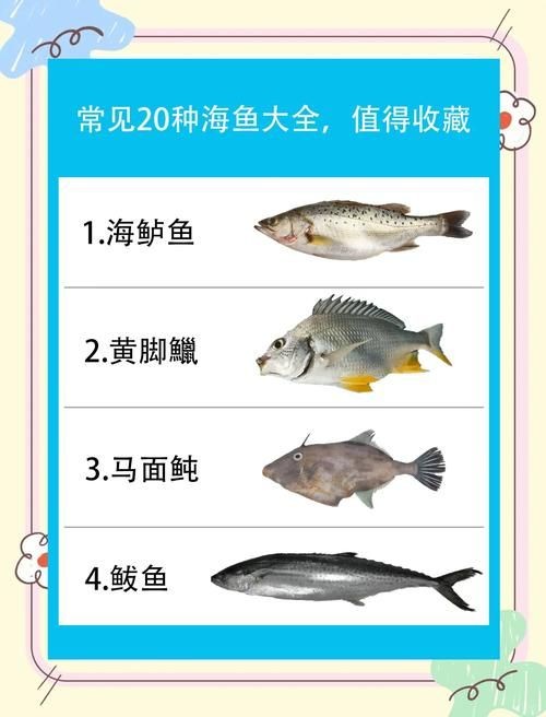 海魚類大全圖冊(cè)：《海魚類大全圖冊(cè)》70余種常見海水魚圖譜大合集