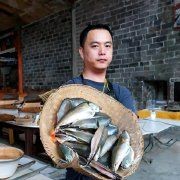 廣東各種魚粵語叫法：廣東地區常見魚類名稱及其特點馬頭魚的粵語名稱匯總