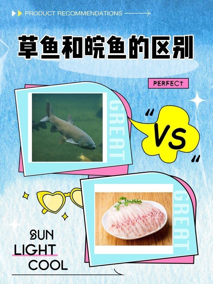 廣東各種魚粵語叫法：廣東地區常見魚類名稱及其特點馬頭魚的粵語名稱匯總