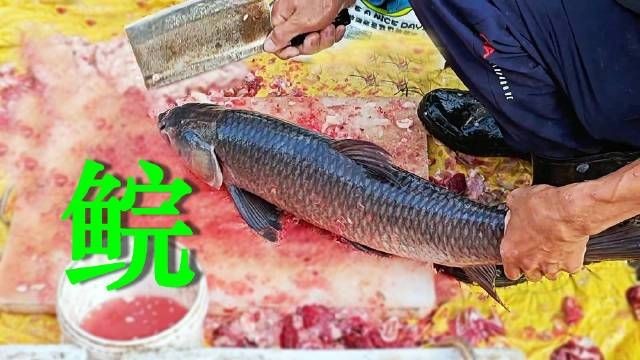 廣東各種魚粵語叫法：廣東地區常見魚類名稱及其特點馬頭魚的粵語名稱匯總