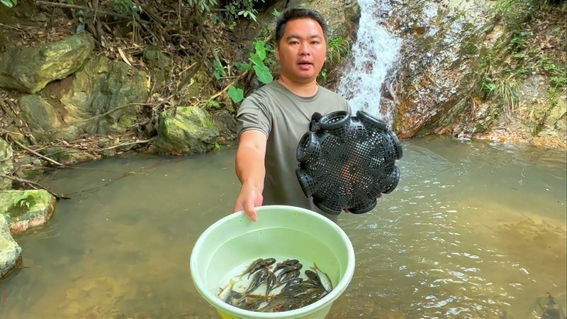 金老虎魚又叫什么名字,圖片大全：日本展出罕見老虎魚通體金黃引游客圍觀(圖)