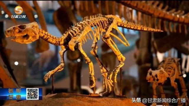 金川龍：探秘金川龍——《甘肅日報》整版揭秘