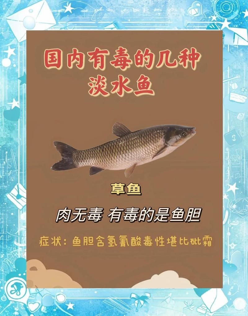 金線魚糜毒性有多強：金線魚的食用風險