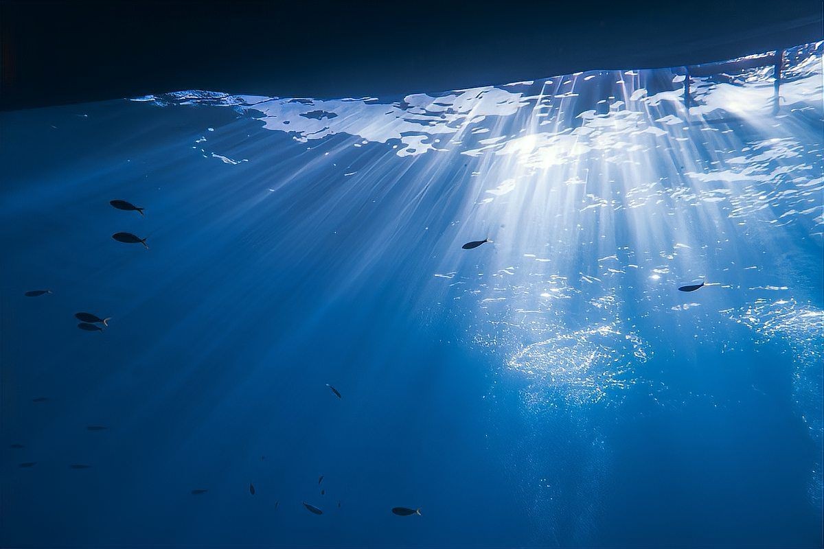 撫順水族館：探秘撫順水族館