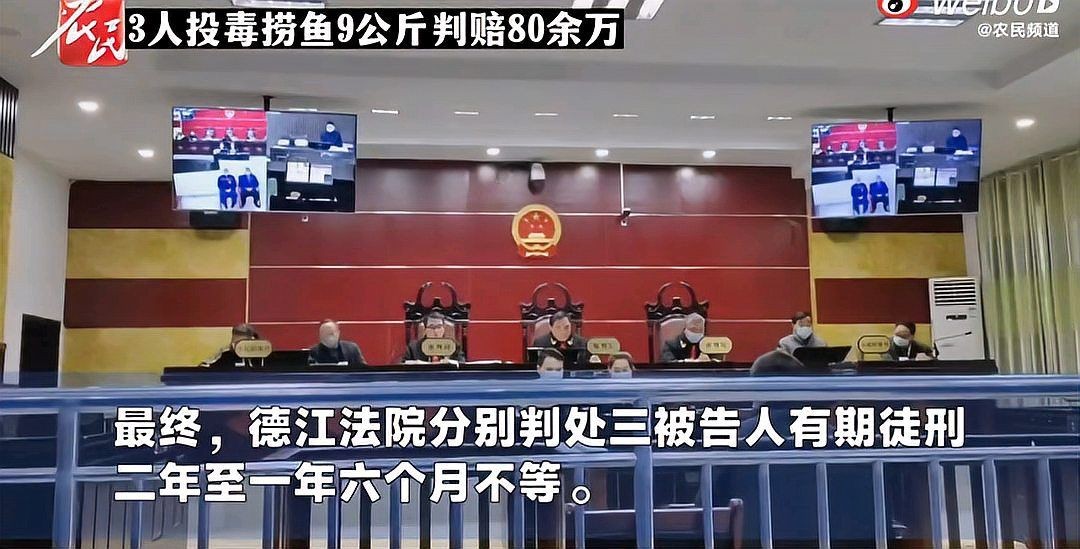 甲氰菊酯毒魚10畝用多少毫升：10畝水域使用甲氰菊酯毒魚為何成魚類“殺手”千龍網(wǎng)