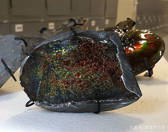 海龍王是什么魚：“海龍王”與傳說中的“海龍王”