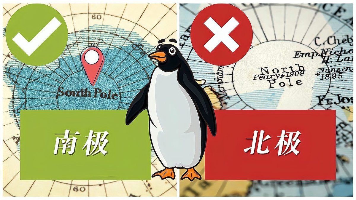 海象吃企鵝嗎：海象與企鵝的關(guān)系