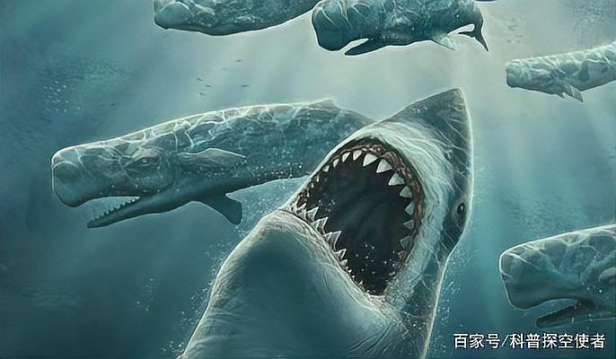 劍射魚圖片：劍射魚與鄧氏魚哪個(gè)更厲害白堊紀(jì)劍射魚與鄧氏魚哪個(gè)更厲害