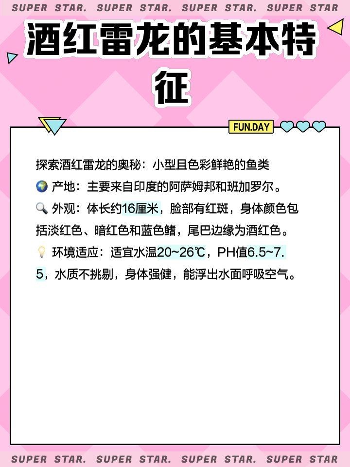 酒紅雷龍長啥樣：“酒紅雷龍”是一種極具視覺沖擊力的觀賞魚類觀賞魚