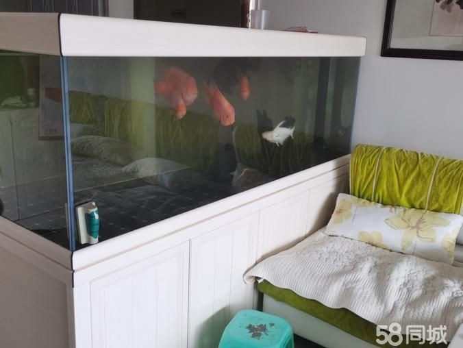 蘭州魚缸定做：蘭州波塞冬水族工程有限公司嵌入式魚缸定做服務(wù)圓滿完成