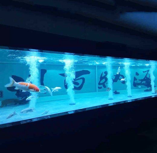 蘭州魚缸定做：蘭州波塞冬水族工程有限公司嵌入式魚缸定做服務(wù)圓滿完成