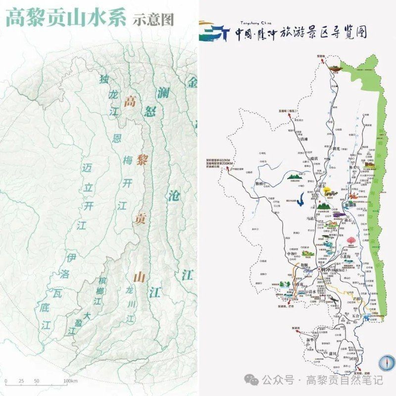 金老虎魚吃啥最厲害：關于金老虎魚的食性特點，