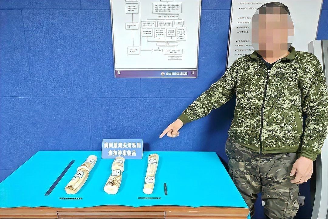 海象和巨骨舌魚哪個貴：海象與巨骨舌魚哪個更貴 海象和巨骨舌魚哪個貴：海象與巨骨舌魚哪個更貴 龍魚論壇 第4張