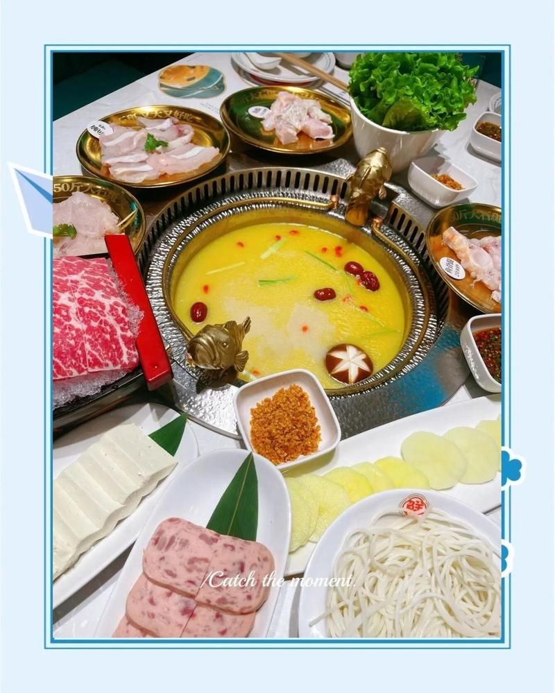 昆明龍魚店：開個(gè)昆明龍魚店需要多少錢