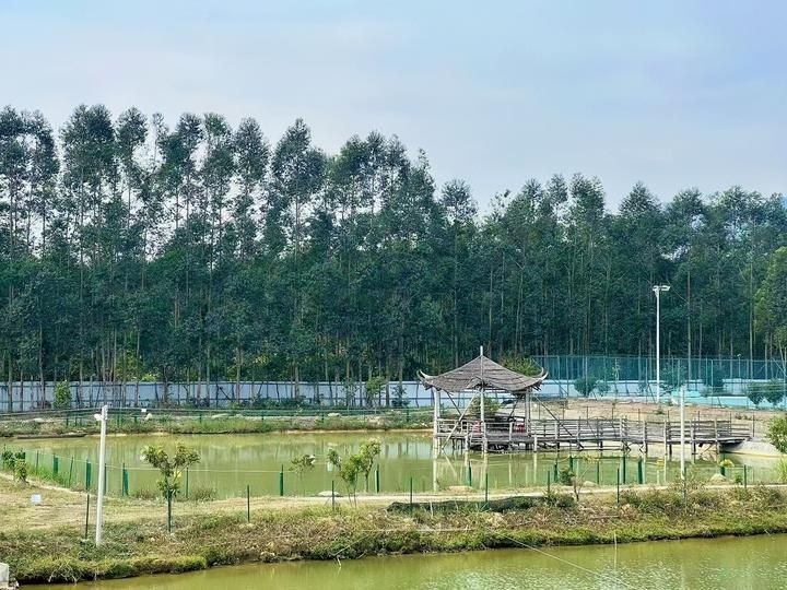 廣東最大的養(yǎng)魚：廣東主要養(yǎng)魚概況及發(fā)展特點