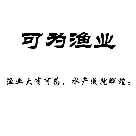 狗仔招財貓魚最忌三種東西：養招財貓魚的三大禁忌