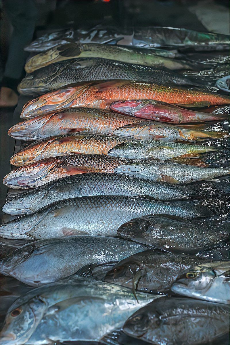 混養冷水魚最忌三種魚：冷水魚混養應該注意哪些問題？