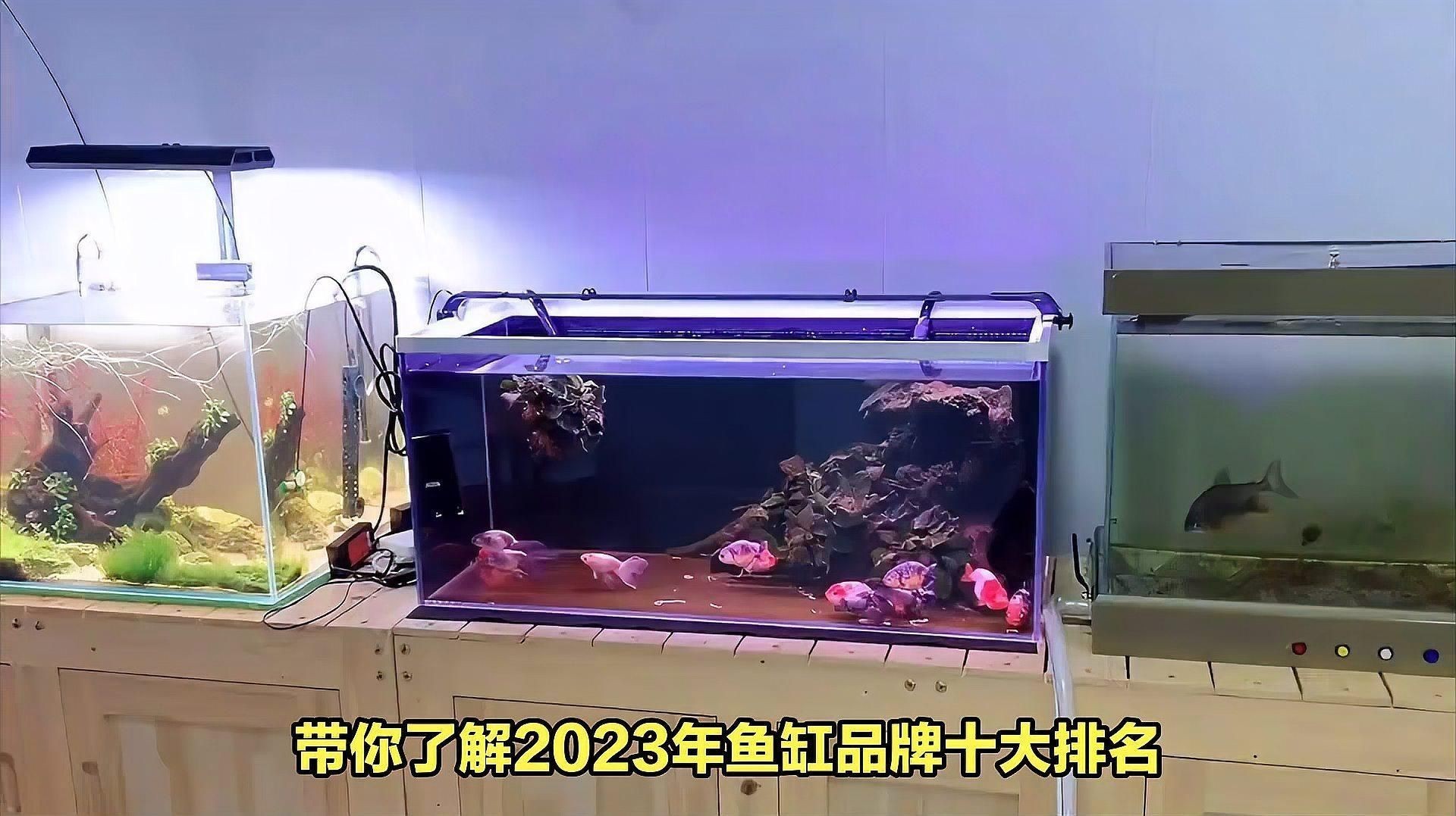 家用魚缸十大名牌排名：2025年中國水族箱品牌top10權威榜單出爐!養魚愛好者必看指南