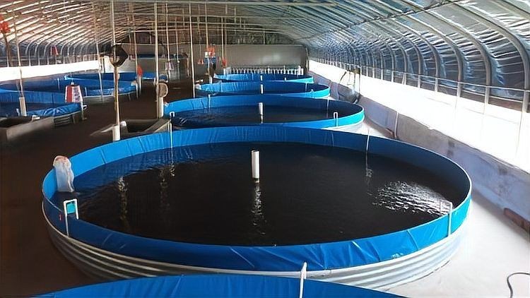 撫州魚缸批發(fā)市場:撫州魚缸批發(fā)市場分析撫州魚缸批發(fā)市場的具體地址 全國水族館企業(yè)名錄 第2張 撫州魚缸批發(fā)市場:撫州魚缸批發(fā)市場分析撫州魚缸批發(fā)市場的具體地址 撫州魚缸批發(fā)市場:撫州魚缸批發(fā)市場分析撫州魚缸批發(fā)市場的具體地址 全國水族館企業(yè)名錄 第2張