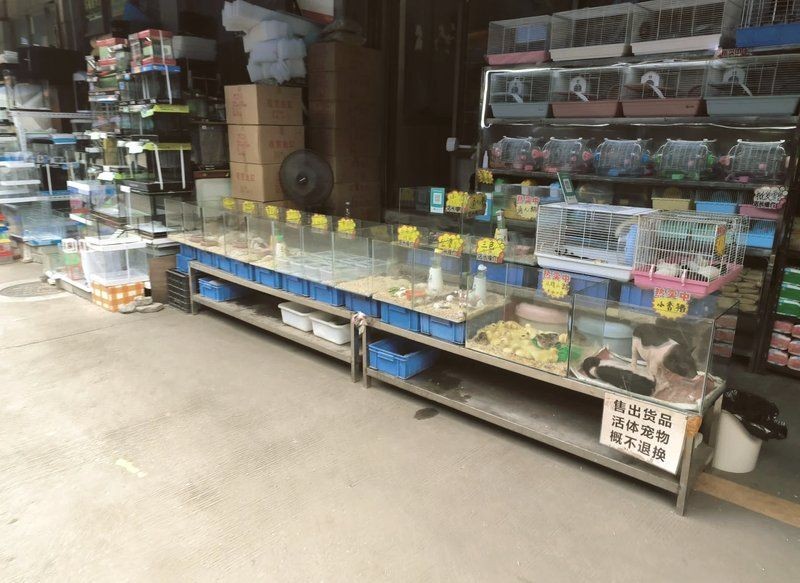廣州魚缸批發市場：廣州魚缸批發市場怎么樣 廣州魚缸批發市場：廣州魚缸批發市場怎么樣 全國水族館企業名錄 第13張
