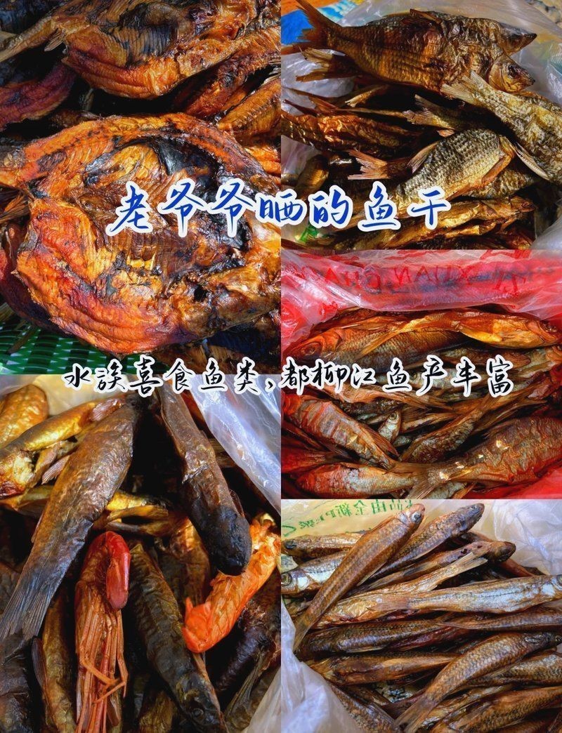 文山壯族苗族自治州水族批發市場：文山壯族苗族自治州水族批發市場分析：區域特色與產業聯動