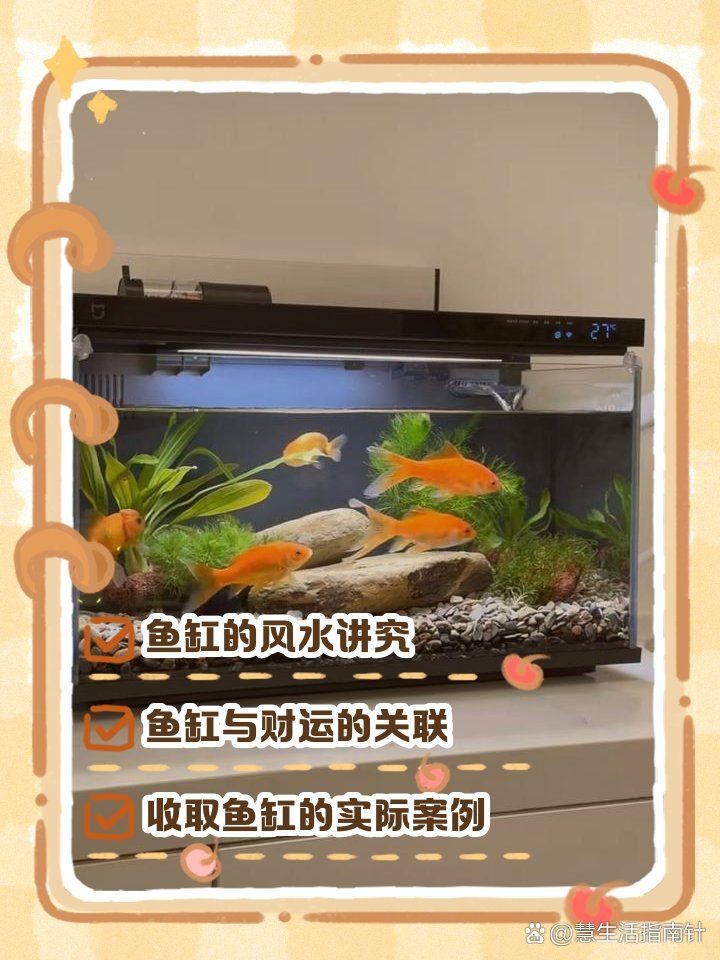 撿別人舊魚缸有沒忌諱：“撿別人舊魚缸是否有忌諱”
