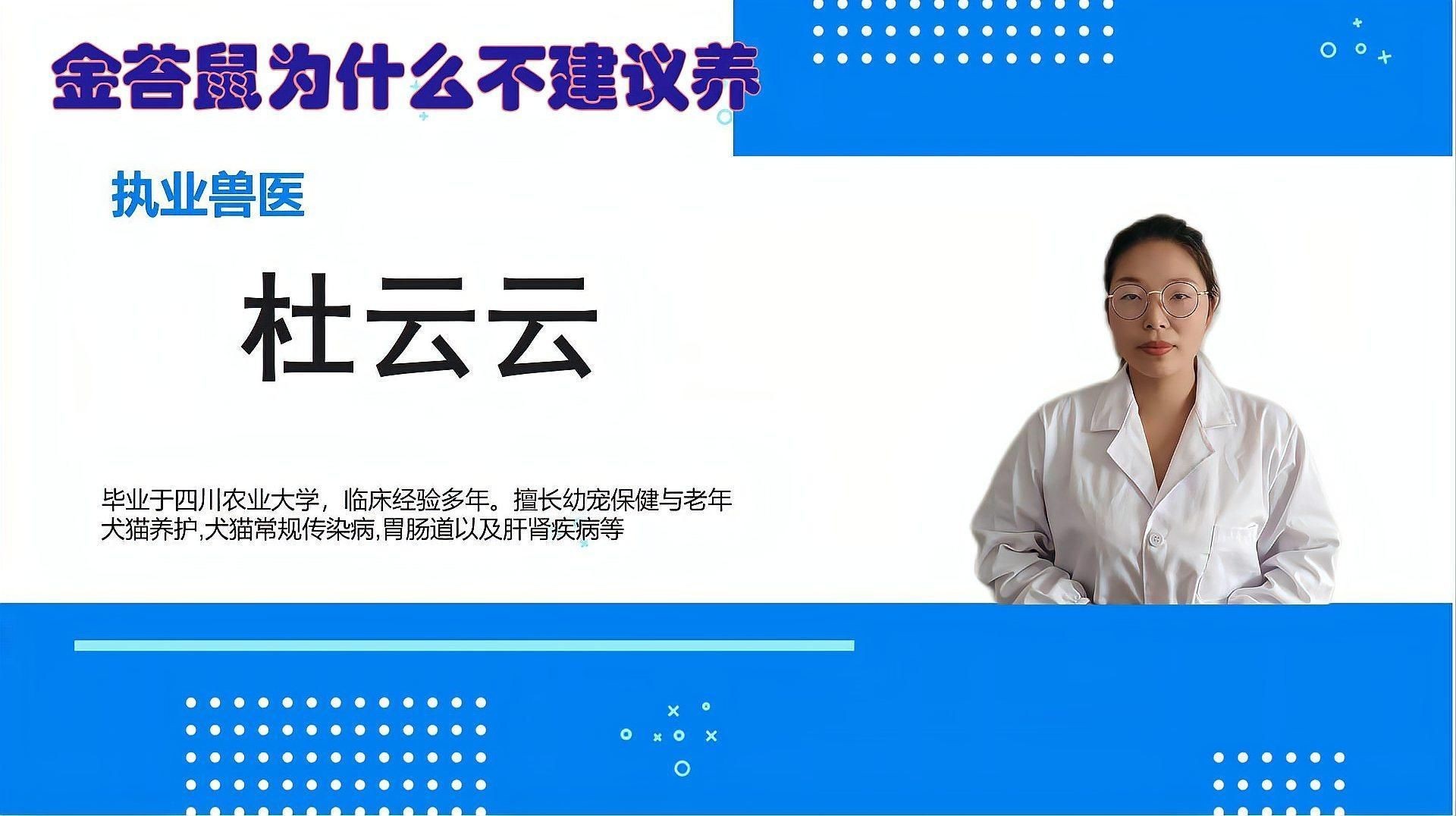 金苔鼠和黃金胡子哪個好：金苔鼠與黃金胡子的區別