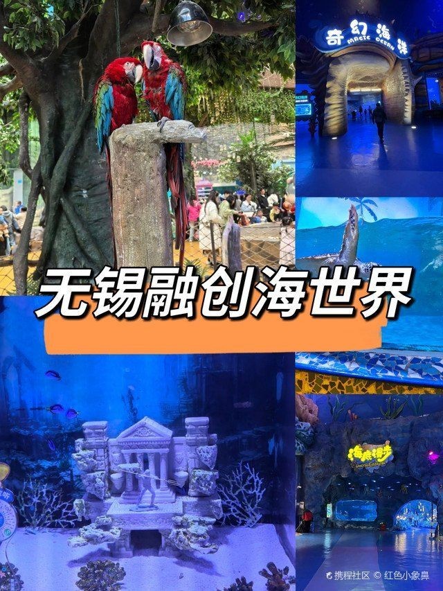 無錫水族館：撫海星族館——華東地區極具特色的海洋主題館