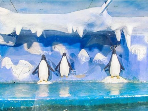 新鄉(xiāng)水族館：探秘新鄉(xiāng)水族館