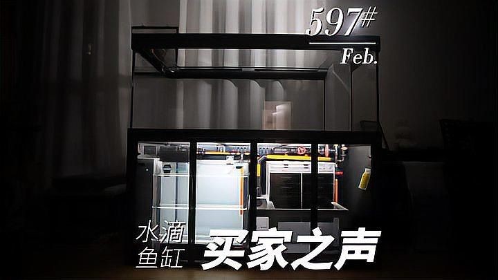 和興龍魚(yú)怎么樣：北京和興龍魚(yú)銷售中心