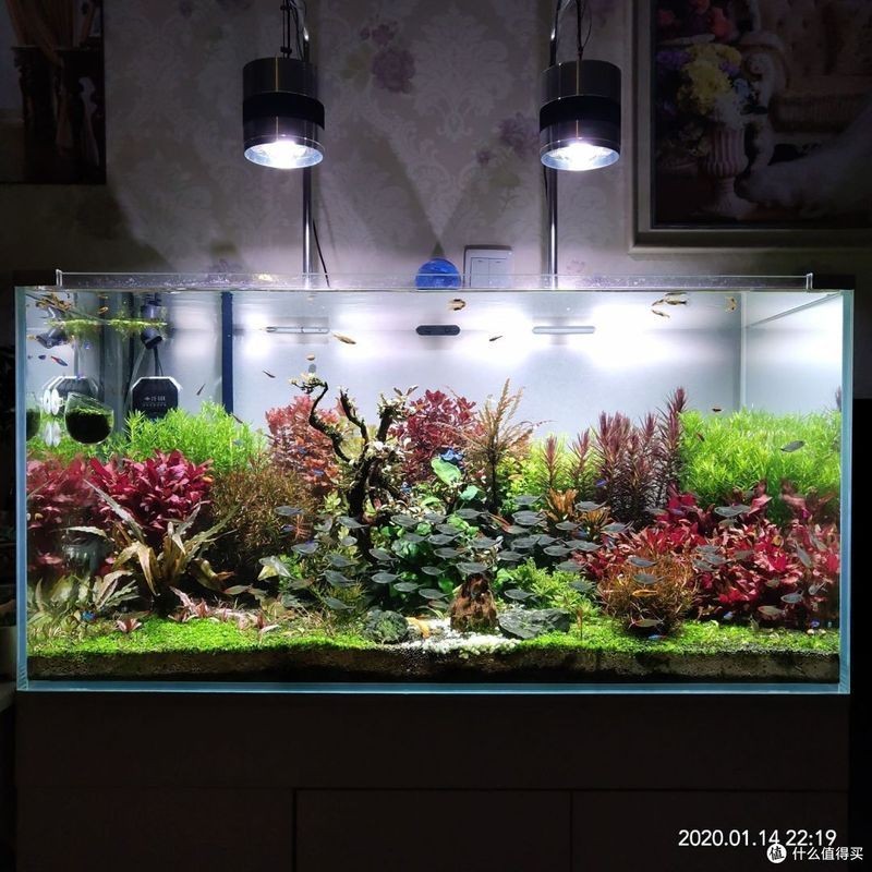 久鼎魚缸好嗎：久鼎魚缸售后服務如何久鼎魚缸價格范圍是多少