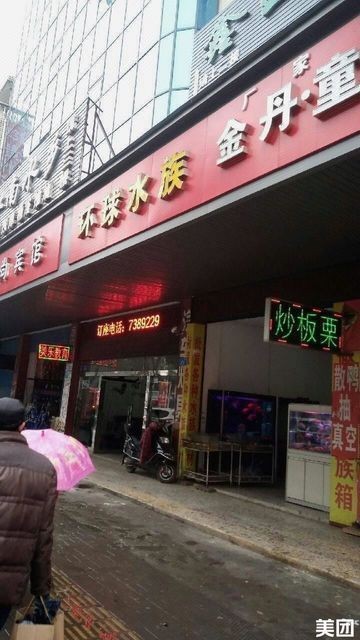 常德水族店：**《常德水族店：水下世界的奇妙之窗》