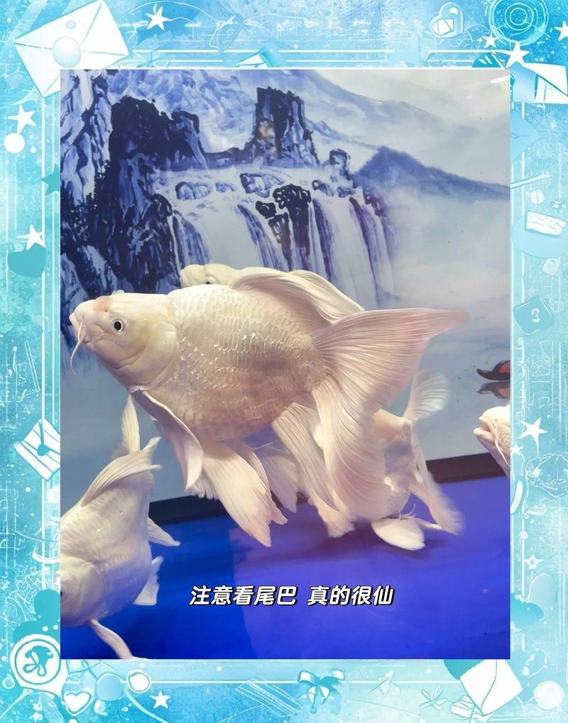 常德水族店：**《常德水族店：水下世界的奇妙之窗》