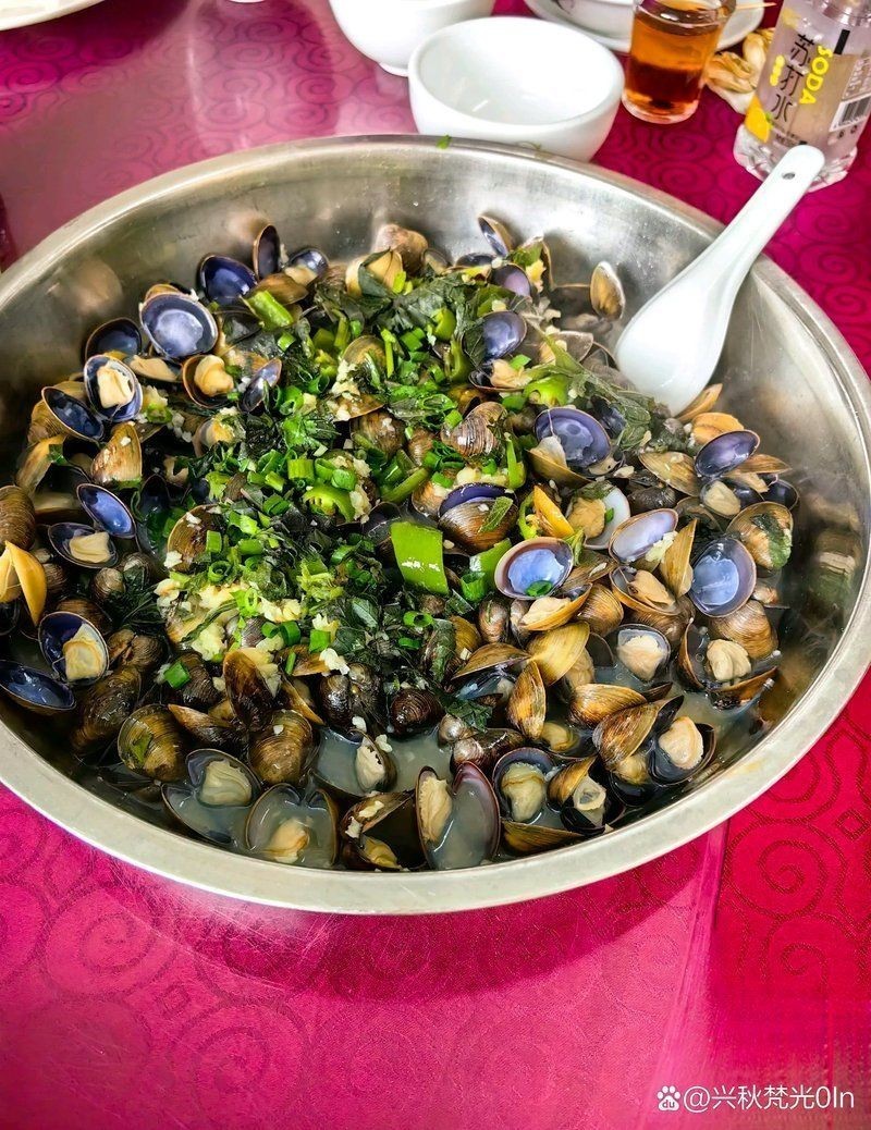 九江龍魚店：九江龍魚專賣店(50-80平方米)80平方米)啟動資金
