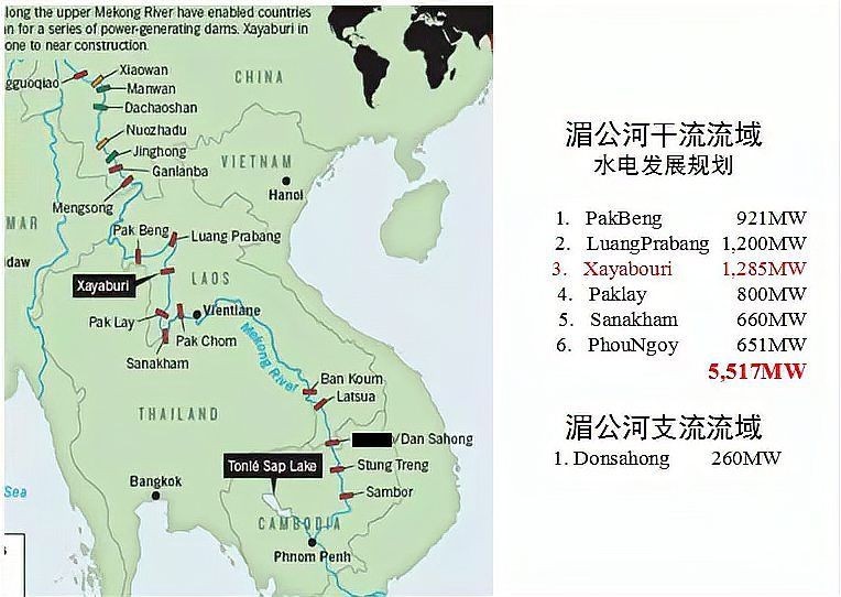 巨暹羅鯉：巨暹羅鯉體型碩大且外形獨特而備受關注，體型碩大且外形獨特而備受關注