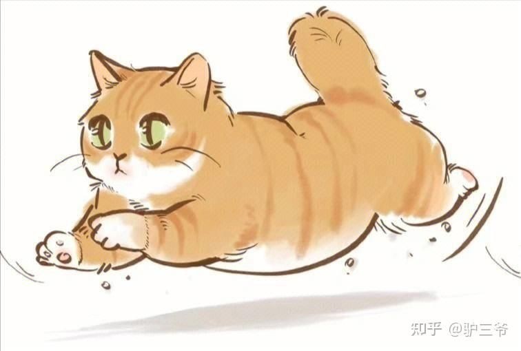 家里養貓又養魚相克嗎：家中同時飼養貓推倒6,貓與魚存在“相克”問題