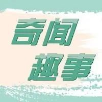 巨齒鯊能秒殺70頭虎鯨嗎：“巨齒鯊能秒殺70頭虎鯨嗎”科學(xué)家數(shù)據(jù)推測