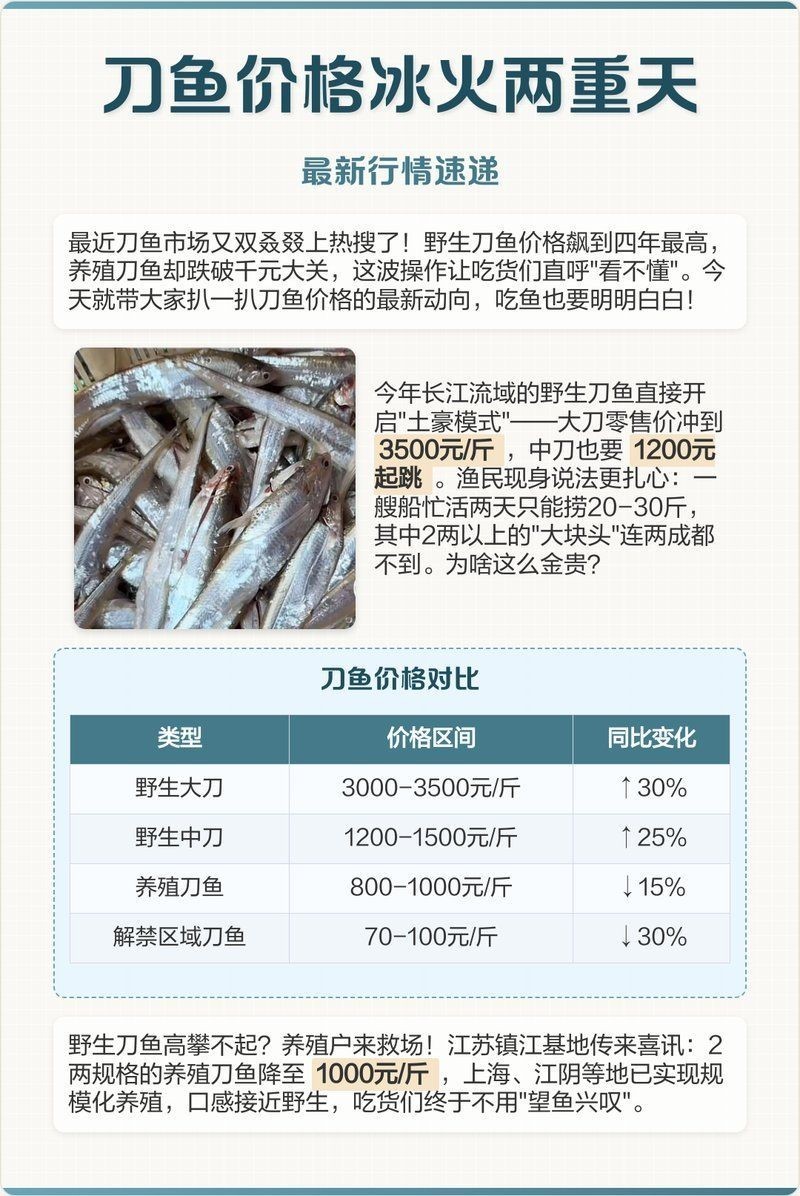 今年刀魚的價格：2019年刀魚價格趨勢分析