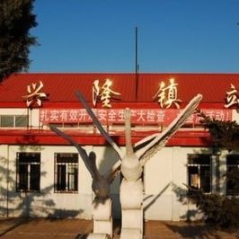 哈爾濱離興隆鎮幾公里：哈爾濱96公里與興隆鎮的區別
