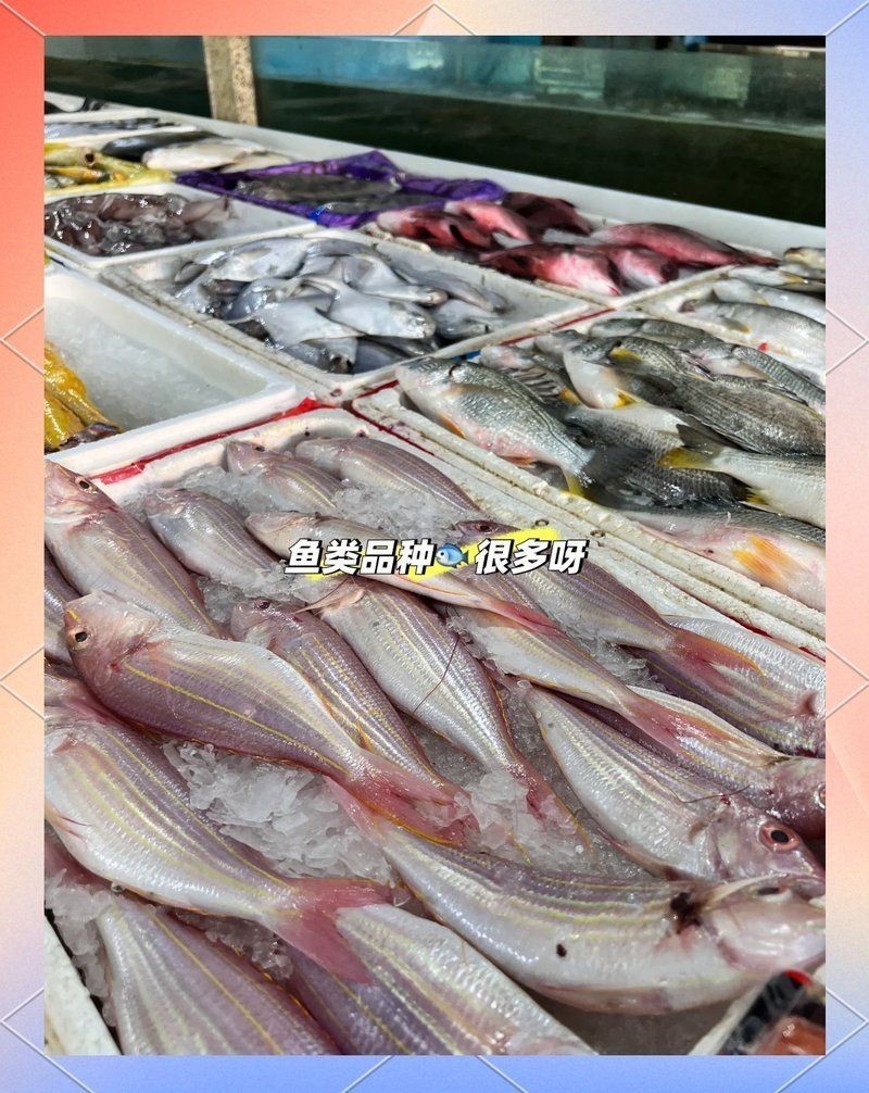 烏魯木齊水族批發(fā)市場：烏魯木齊水族批發(fā)市場——西北地區(qū)極具影響力的專業(yè)交易樞紐