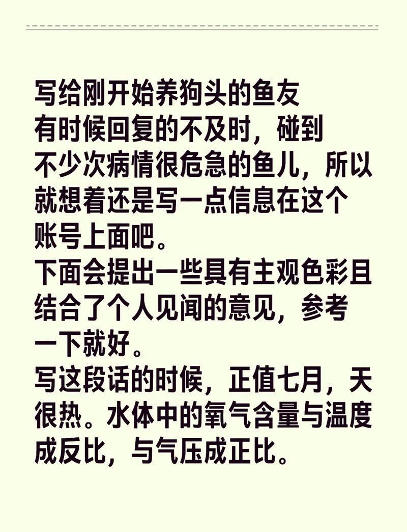 灰狗頭魚最簡單三個(gè)步驟：*《灰狗頭魚最簡單三個(gè)步驟》灰狗頭魚養(yǎng)殖攻略