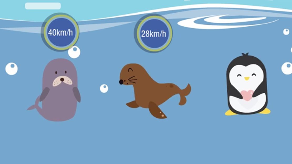 海獅和海豹誰厲害：海獅vs海豹:傻傻分不清3招教你一眼識別