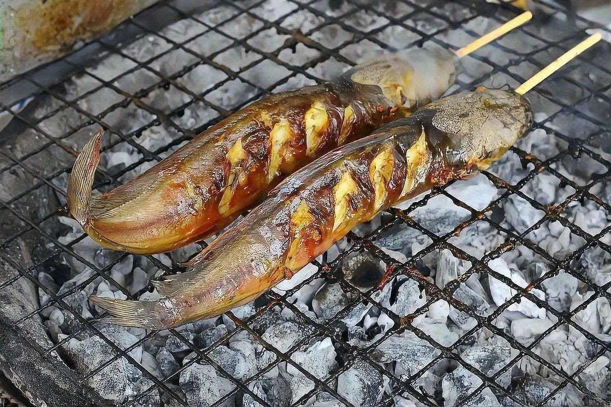 易縣龍魚有哪些品種？，易縣龍魚品種對比表，易縣龍魚市場價格如何 易縣龍魚有哪些品種？，易縣龍魚品種對比表，易縣龍魚市場價格如何 龍魚百科 第2張